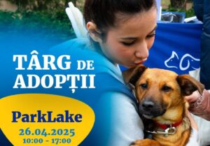 targ1