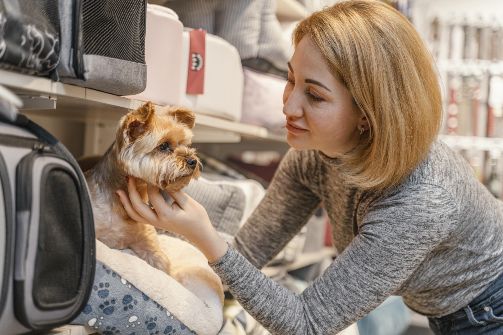 Cîine alături de stăpâna lui într-un pet shop