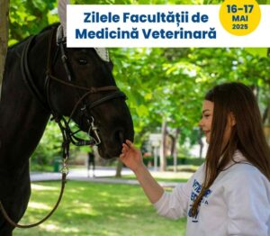Afiș eveniment - Zilele Facultății de Medicină Veterinară. Studentă alături de un cal.