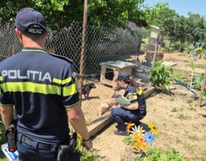 Polițiști într-o curte în care se află un câine