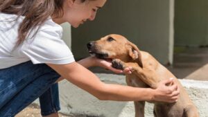 O tânără mângâie un câine